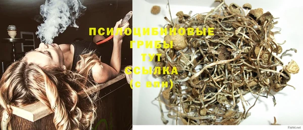 ешки Абаза