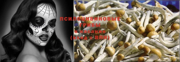 ешки Абаза